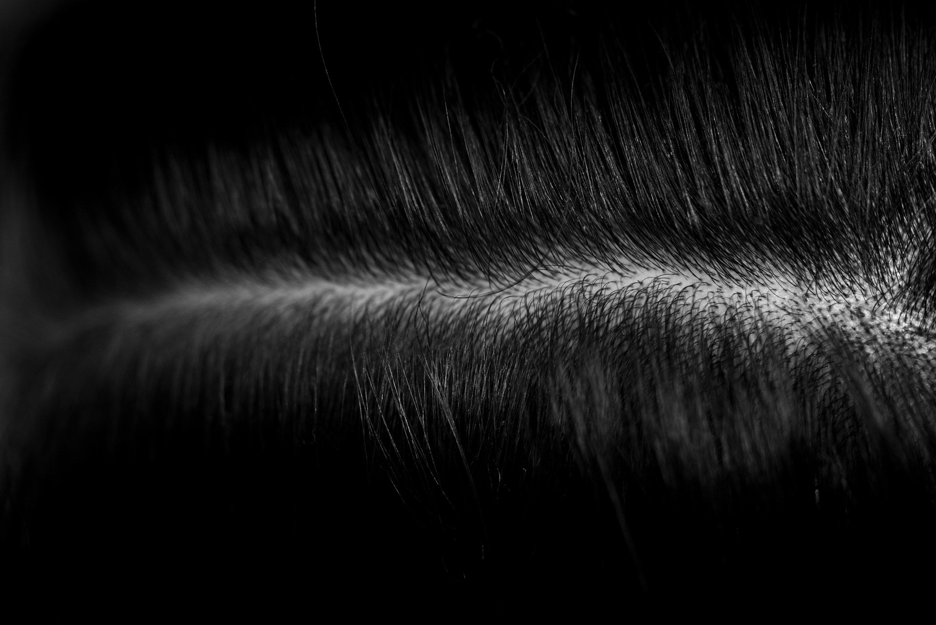 Why Scalp Health Is the Secret to Stronger, Healthier Hair
